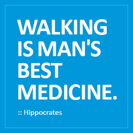 Hippocrates Quotes